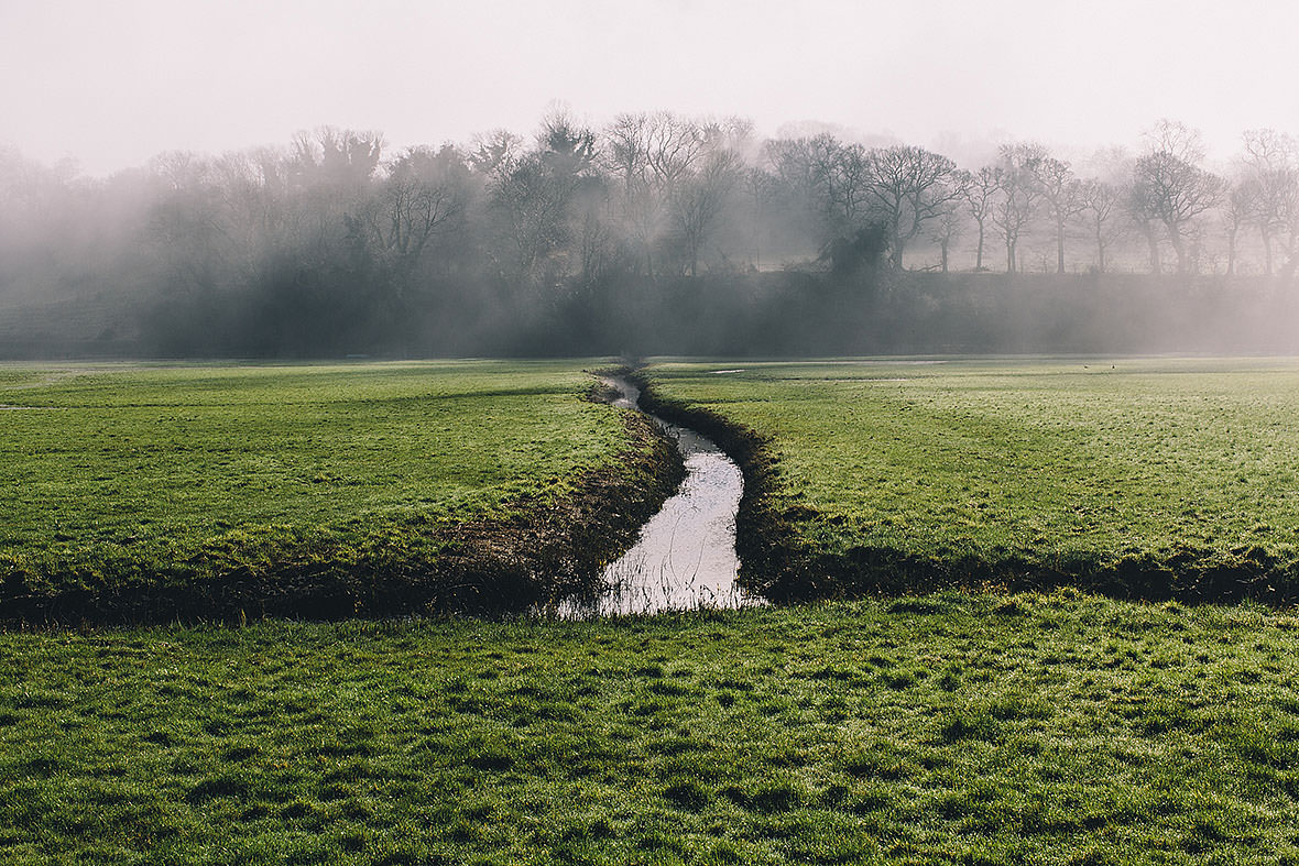 Mist, East Sussex