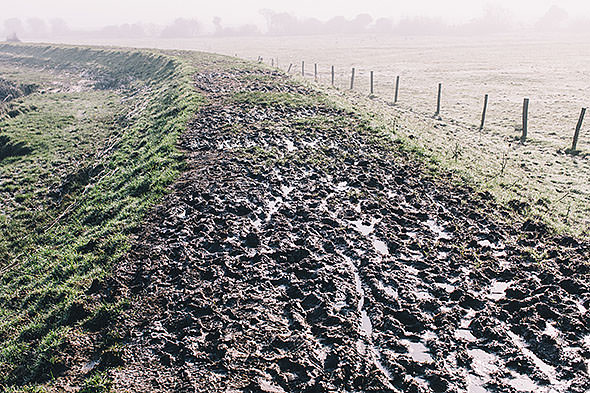 The Path, Arundel